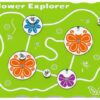 Flower Explorer Play Panel