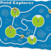 Pond Explorer Play Panel