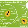 Whats the Weather Like Play Panel